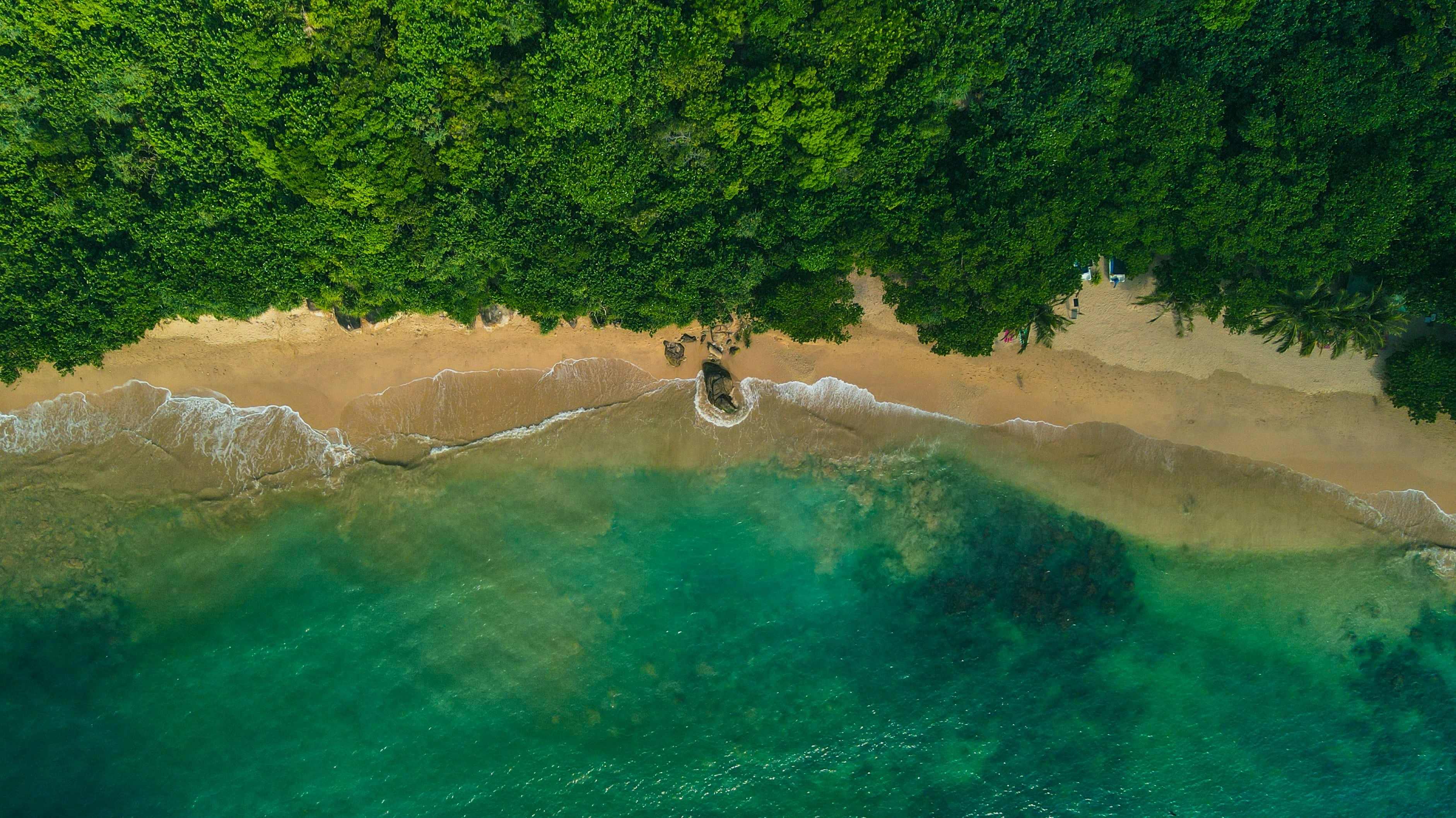 Palm-fringed beach near the southern coast